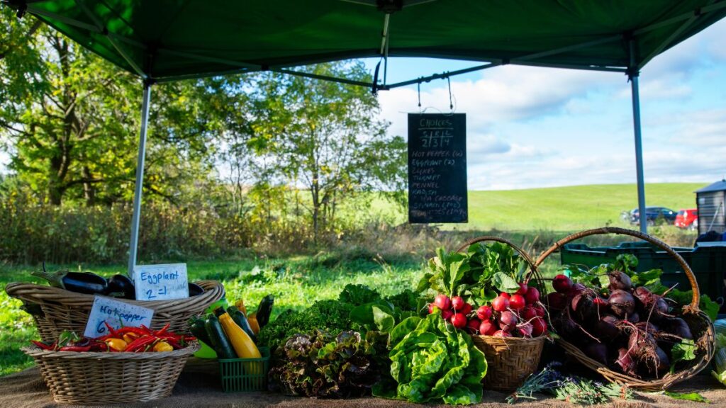 fruit and vegetables