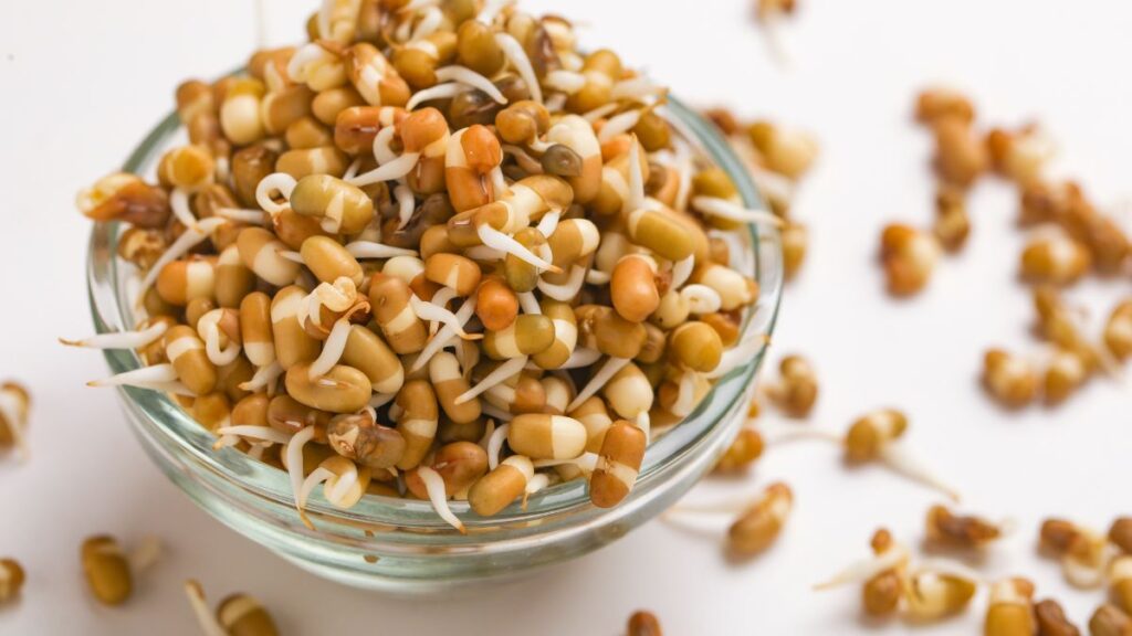 sprouted grains and pulses