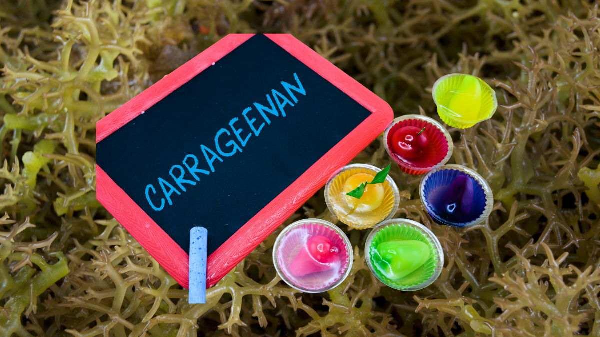 Carrageenan