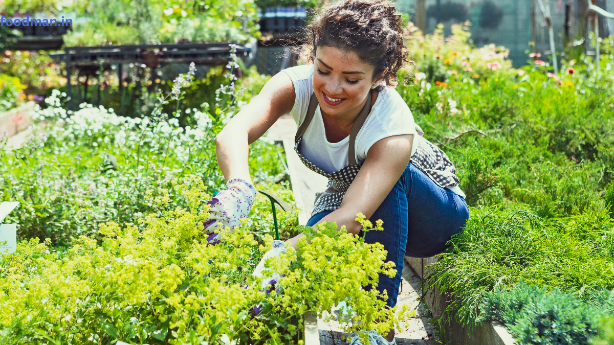 organic-farming